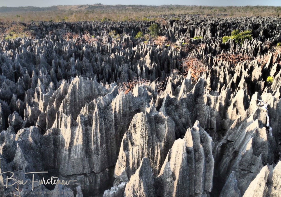 Tsingy as far as the eye can see
