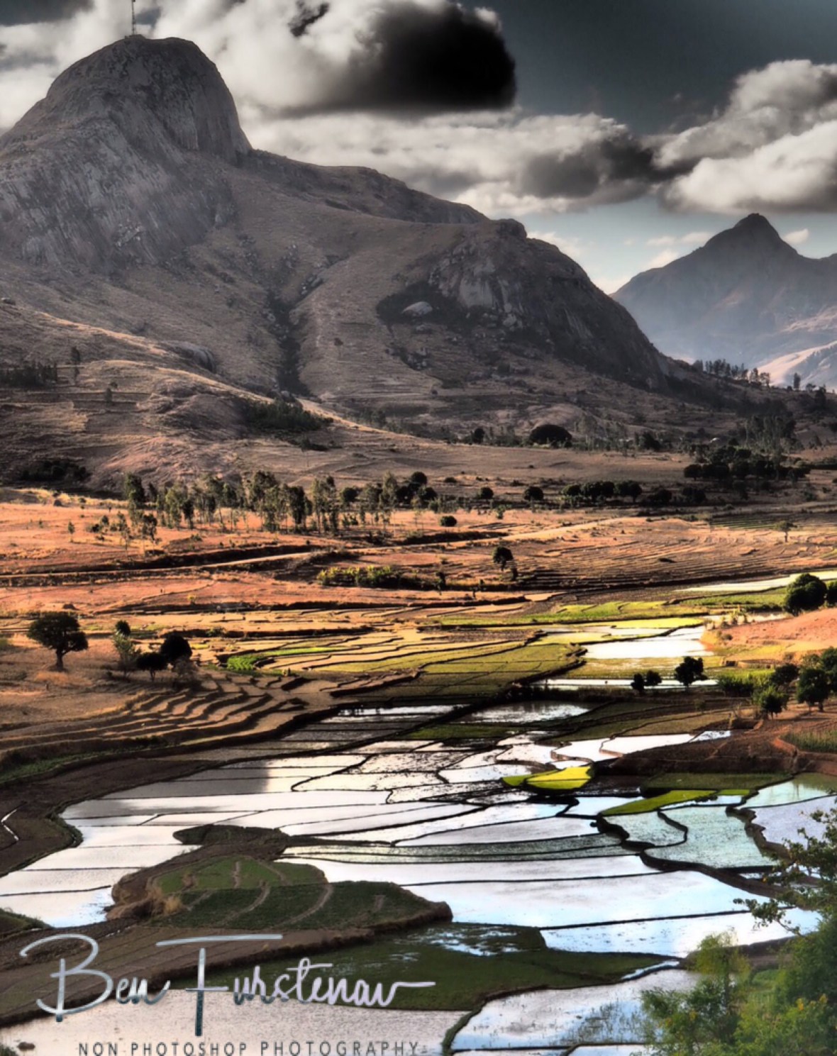 Rice farming in the highlands 
