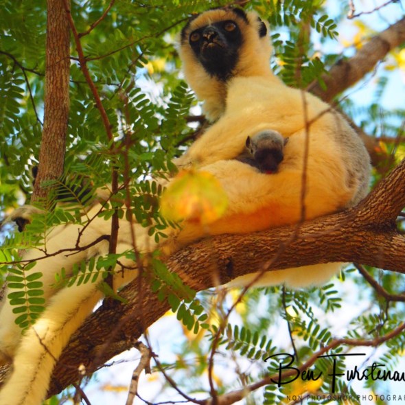 Don’t mess with me!