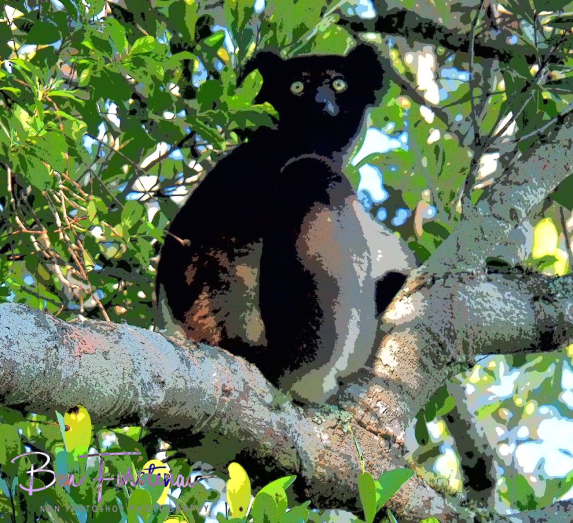 Was there something moving?