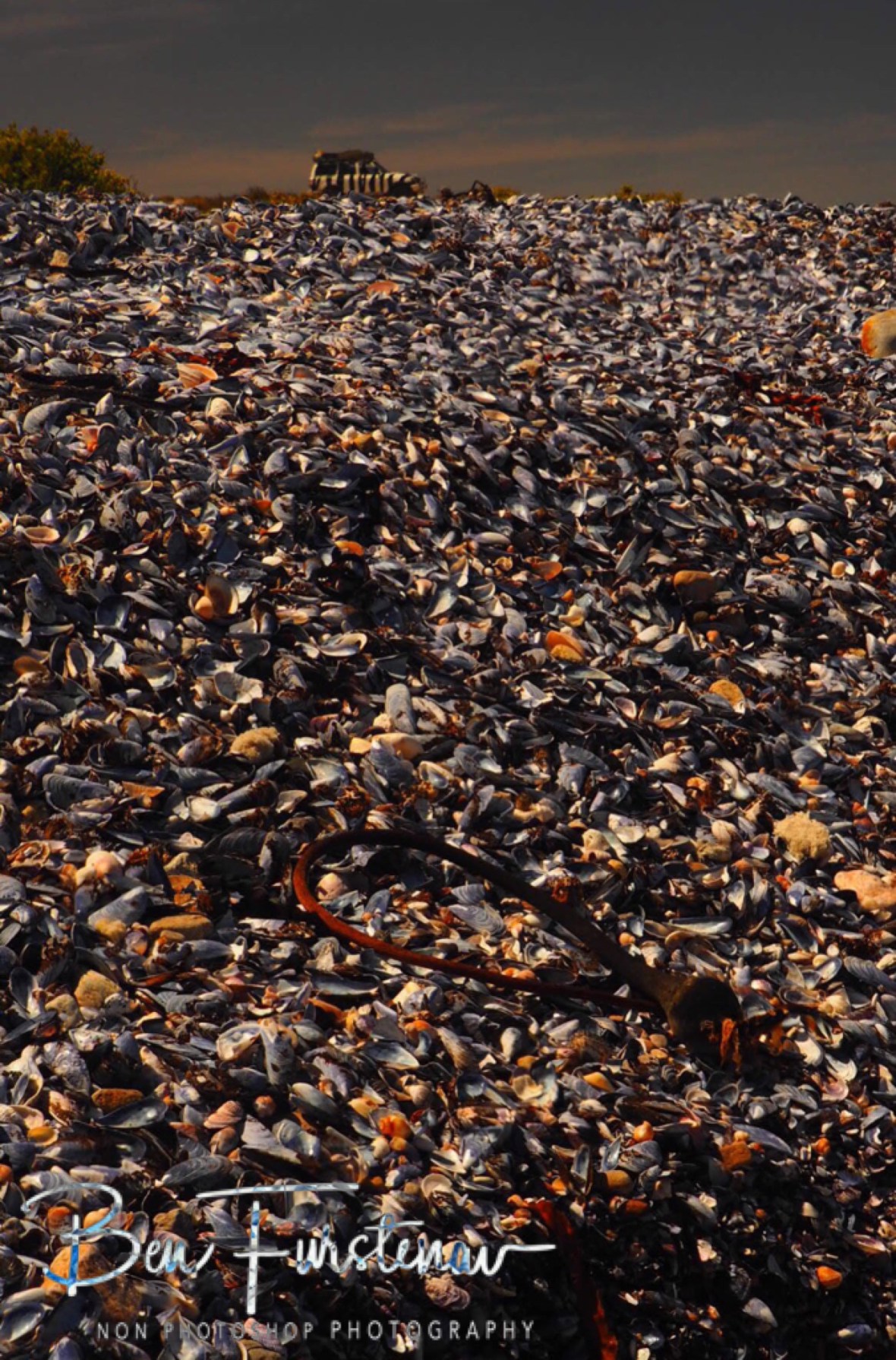 Sea shell mounts as far as the eye can see, Namaqua National Park