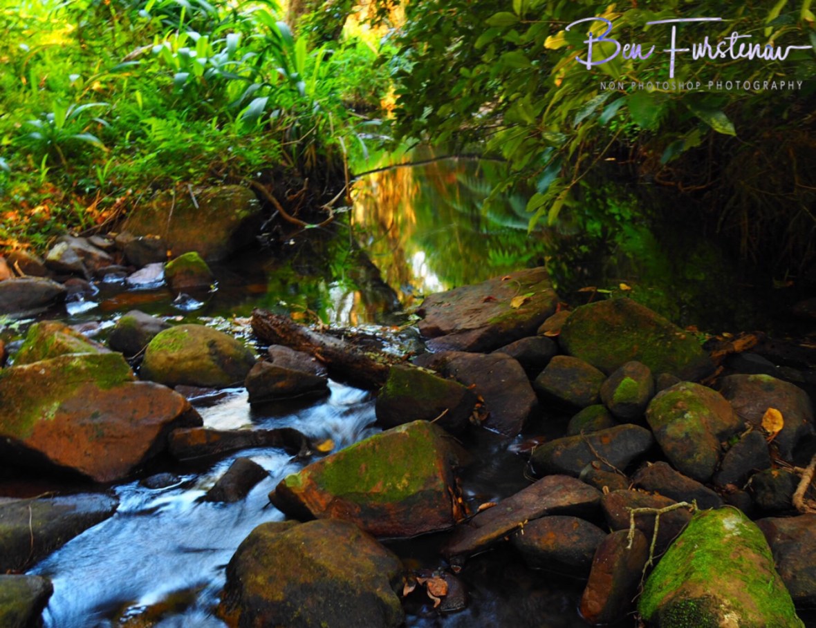 Early morning tranquility 