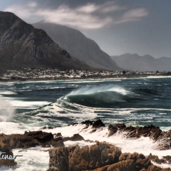 Rolling waves on rolling coastline, Hermanus