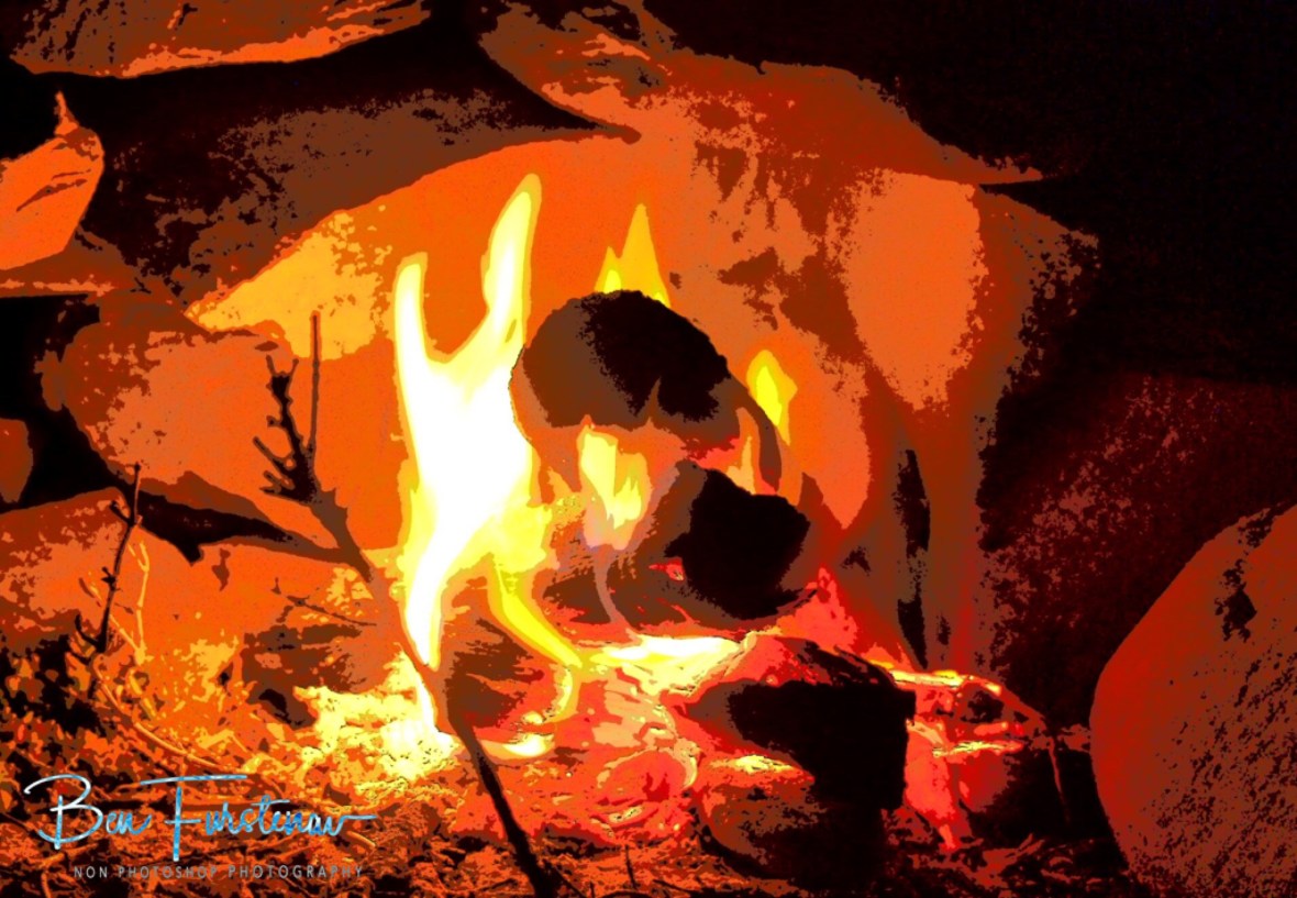 A warming fire and bush TV