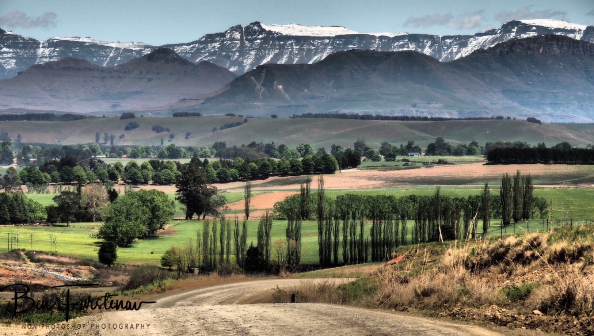 A touch of New Zealand?