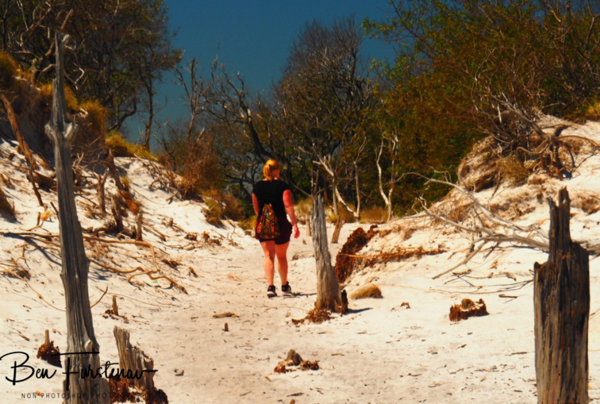 Mountain dessert, Table Mountain 