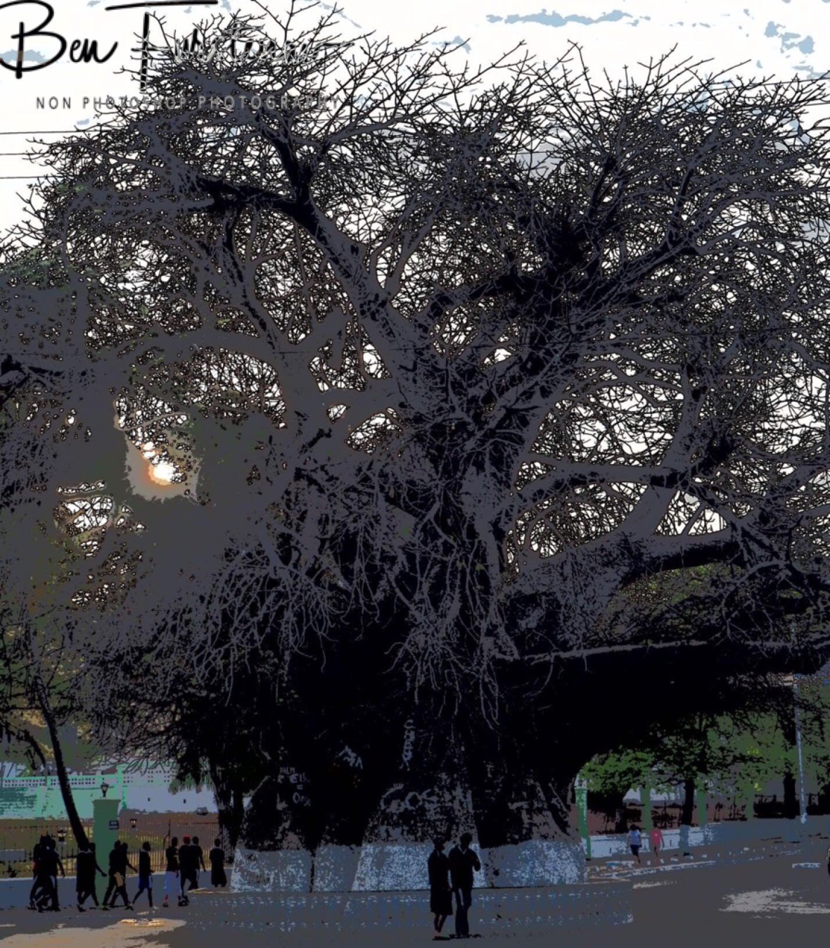 Madagascar’s largest Baobab tree, also busiest