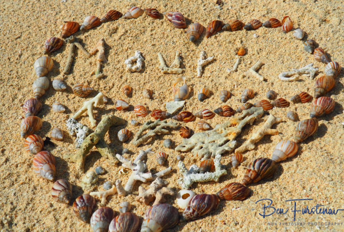 Snail and coral heart, Maurice 