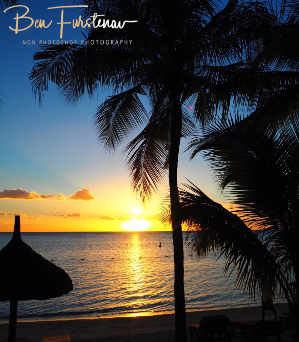 Palm tree sunset, Flic en Flac, Mauritius 