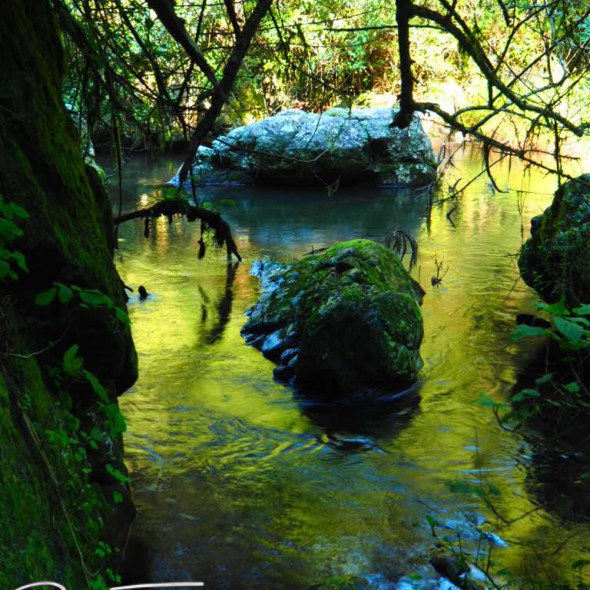 Golden reflections, lone creek falls