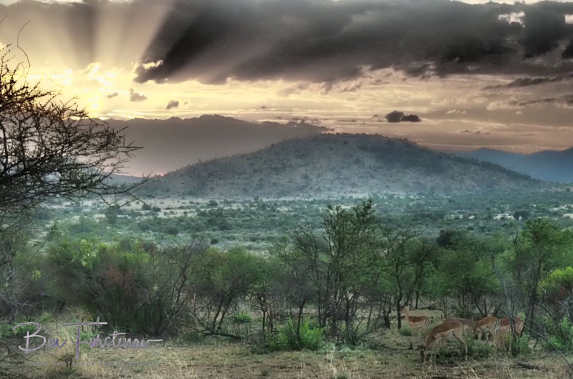 Impressive sunset to an incredible day, Pilansberg National Park