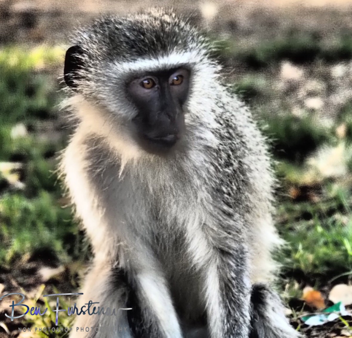 South Africa, Northern Cape, Augrabis Falls