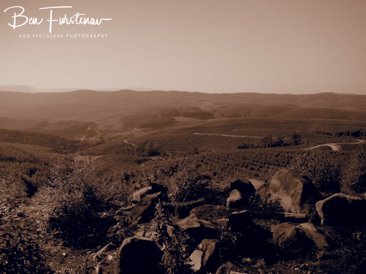 Logging evidence, Mpumalanga