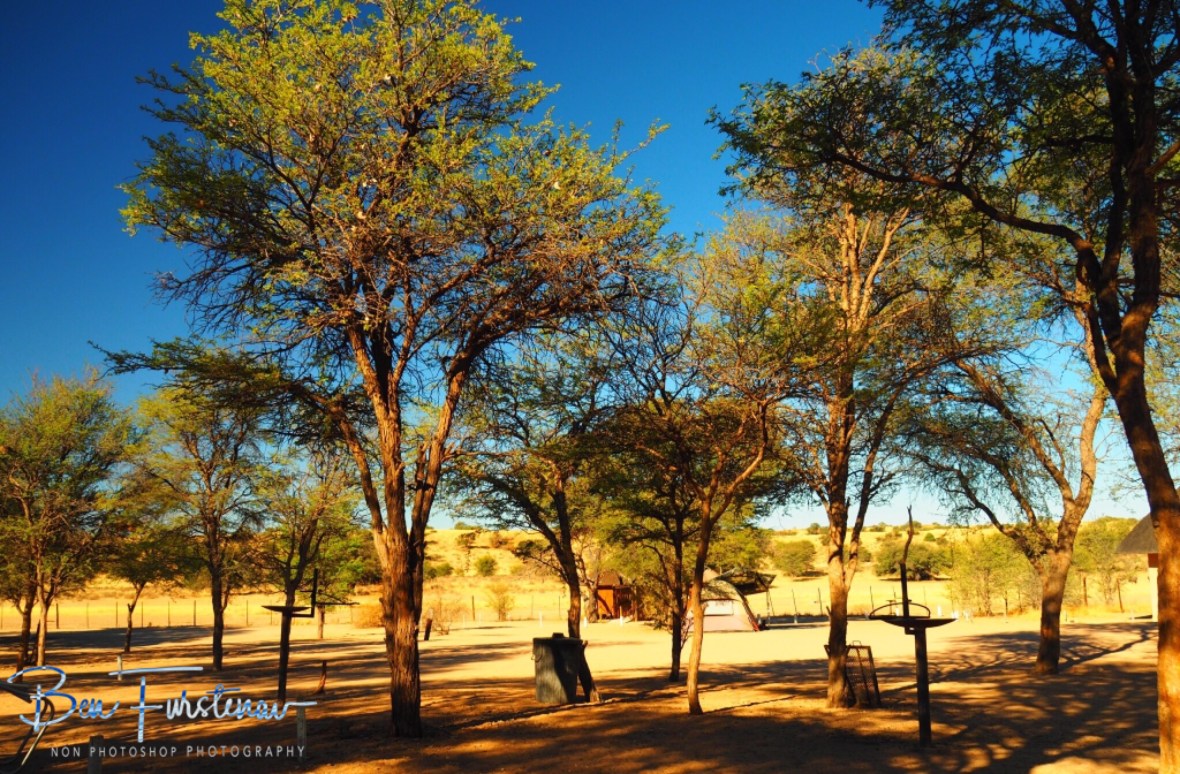 Mata-Mata campground, Kgalagadi Transfrontier Park 