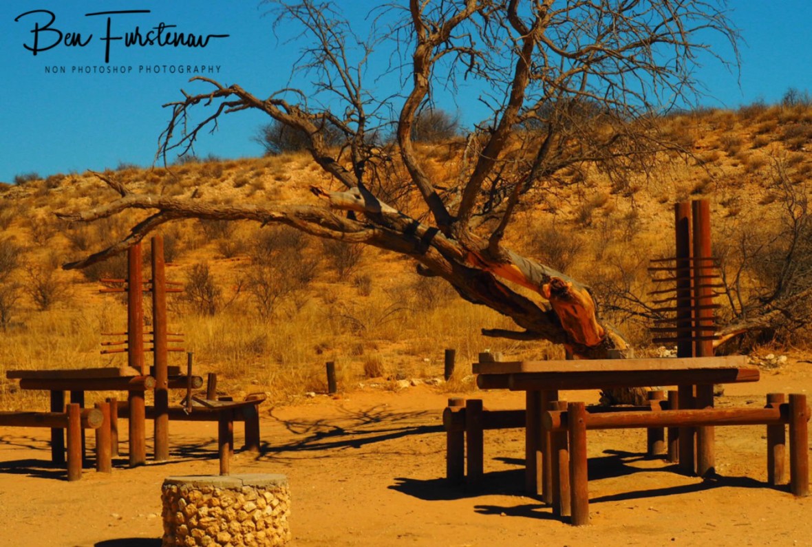 Picnic area with little shade, Kgalagadi Transfrontier Park