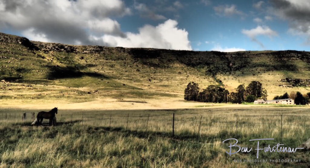The farm in the corner, Maarmanshoek