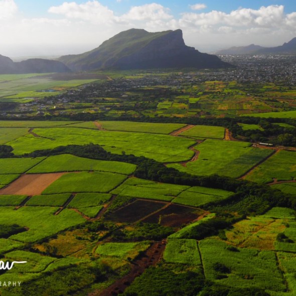 Agriculture view inland from Troix Mamelles