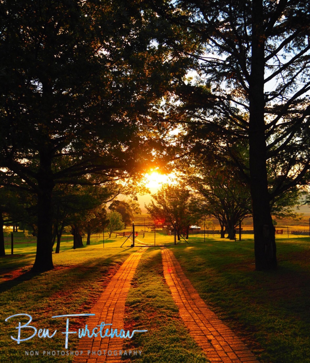 Sunny driveway, Maarmanshoek 