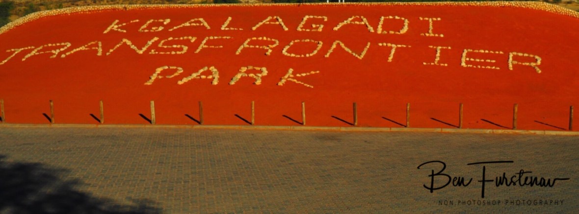 Desert without frontiers, Kgalagadi Transfrontier Park