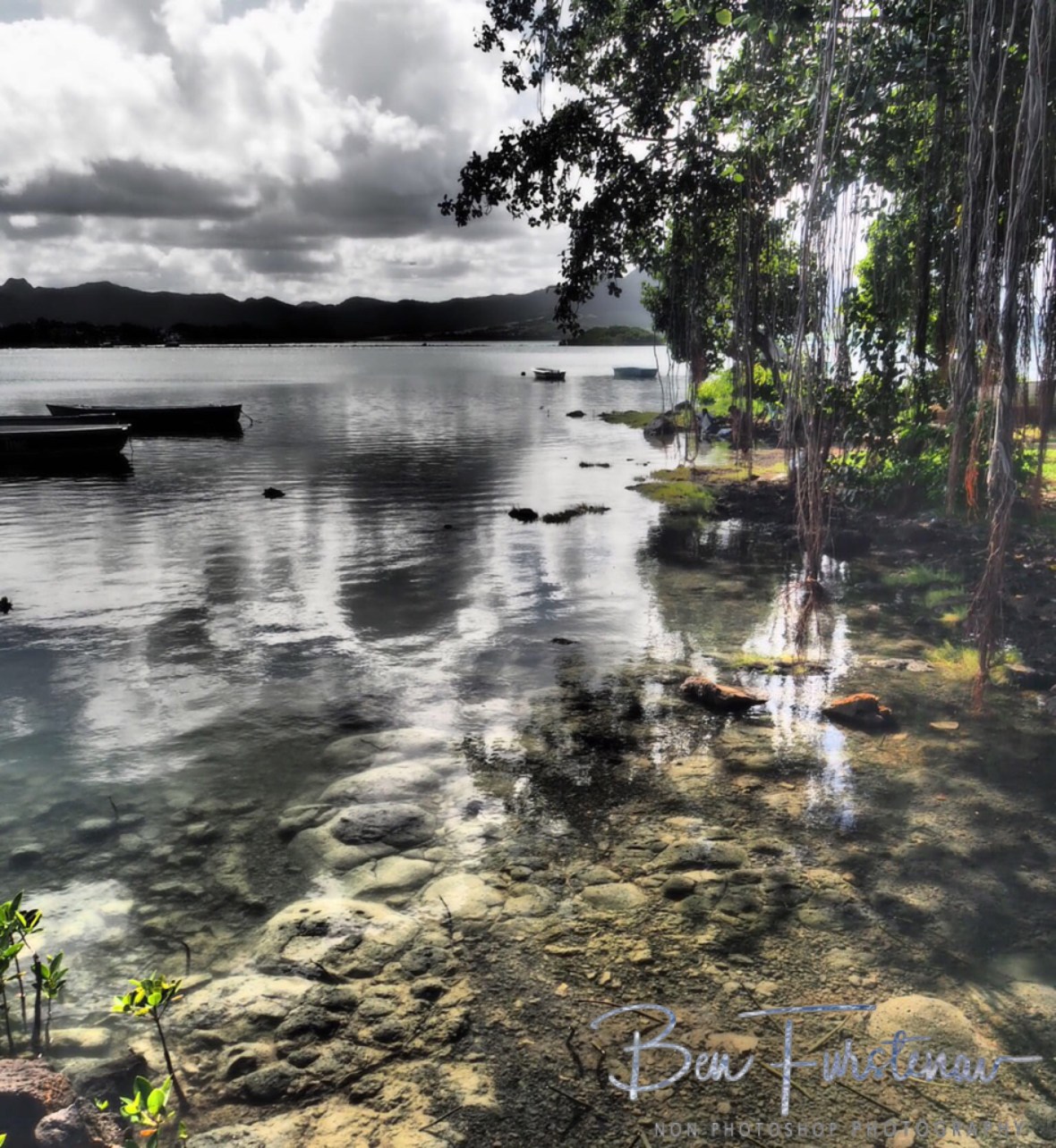 Clear waters and overhanging fig trees near Mahebourg.