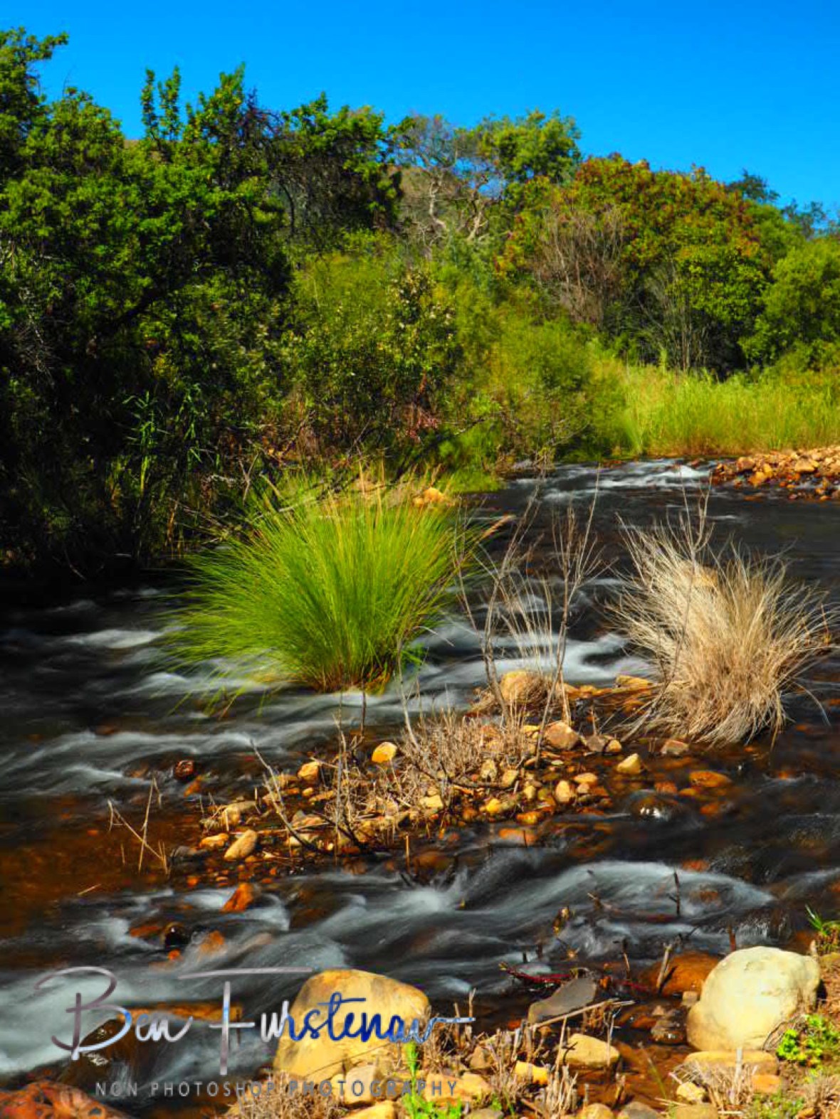 An oasis in harsh mountain terrain, Rivendell Trout estate 