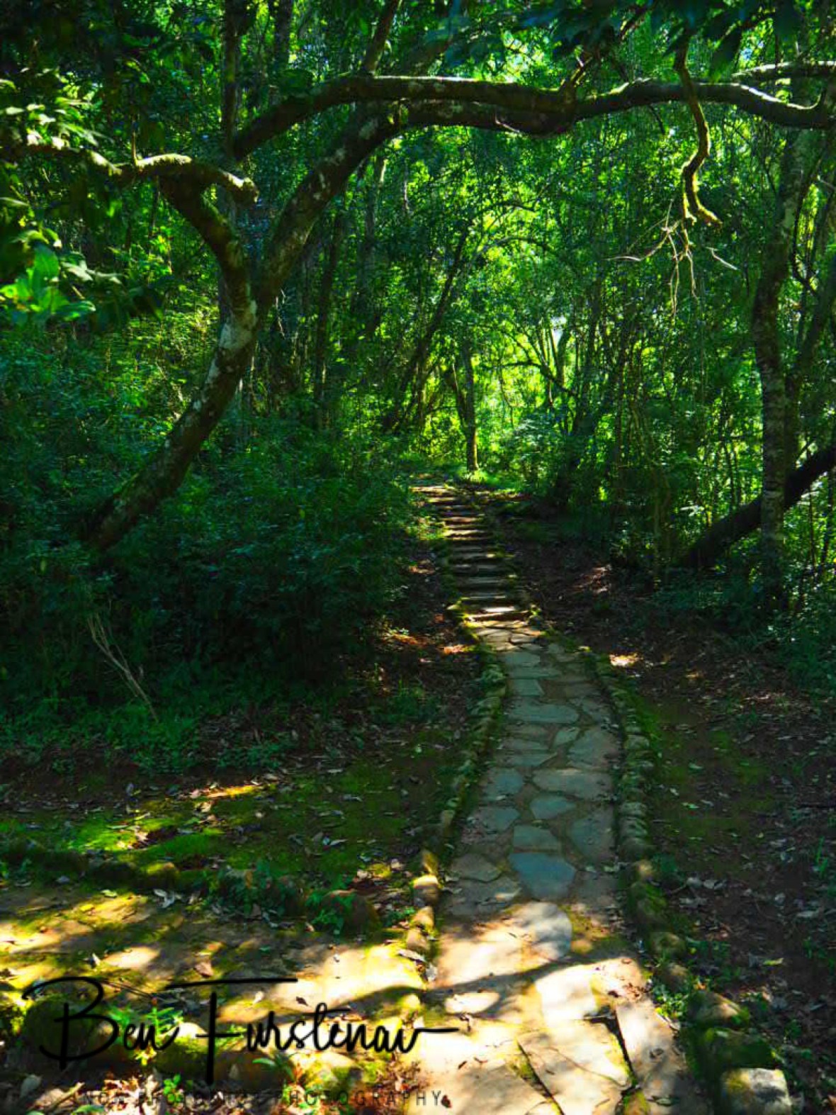 Mossy Forrest track, Sabie Falls