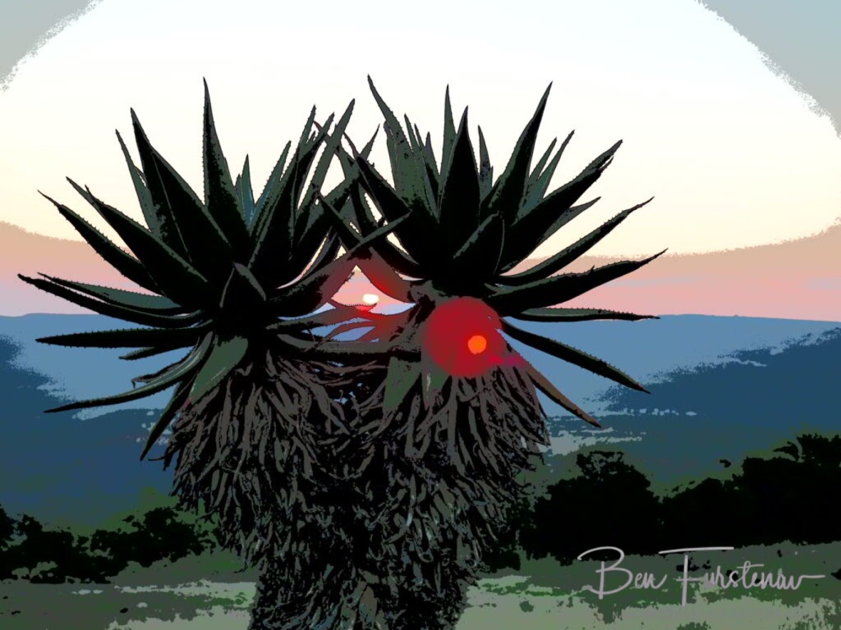 Aloa double header, Dundee