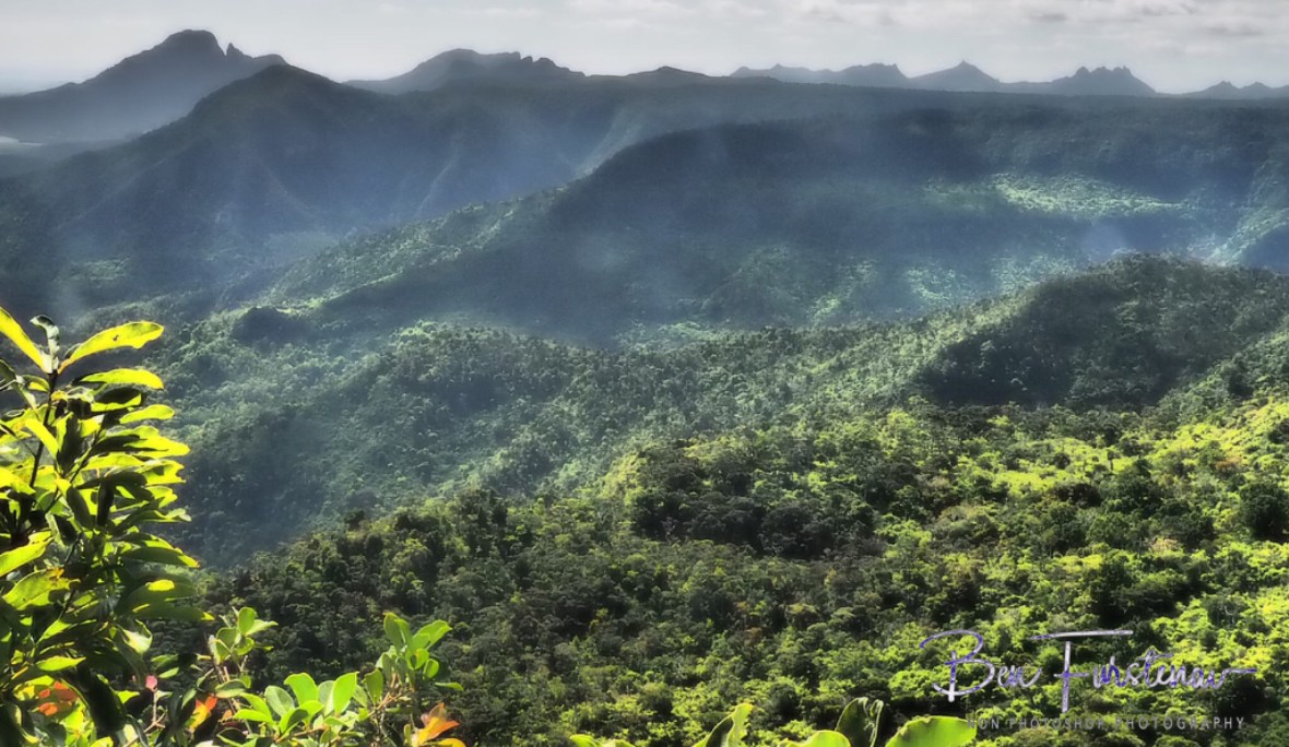 Overlooking Black River National Park,the last Wilderness frontier on Mauritius.