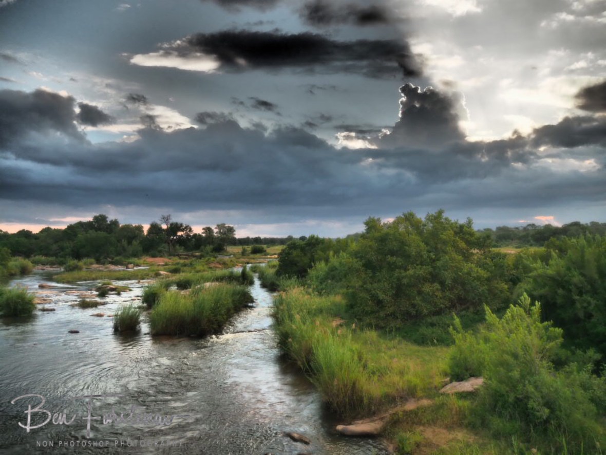 Sunlight torch, Kruger National Park