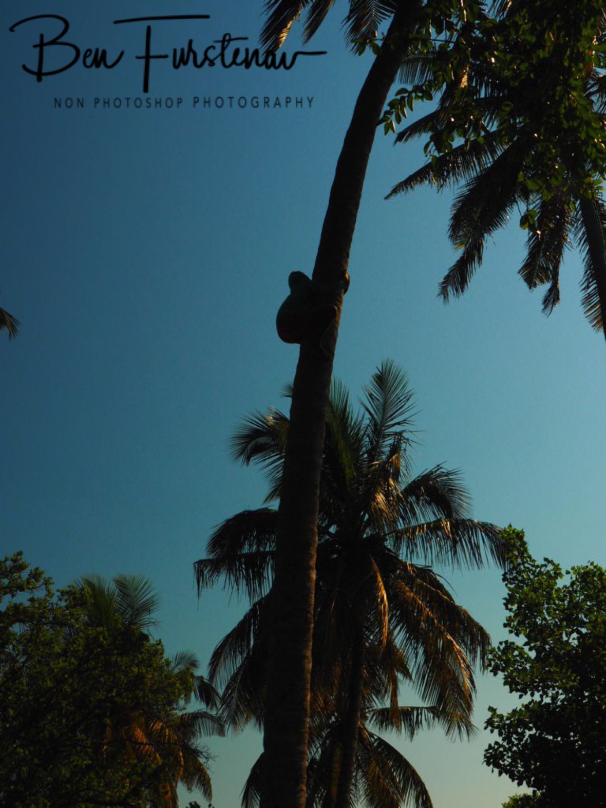 It’s a long way to the top ..., Inhaca Island