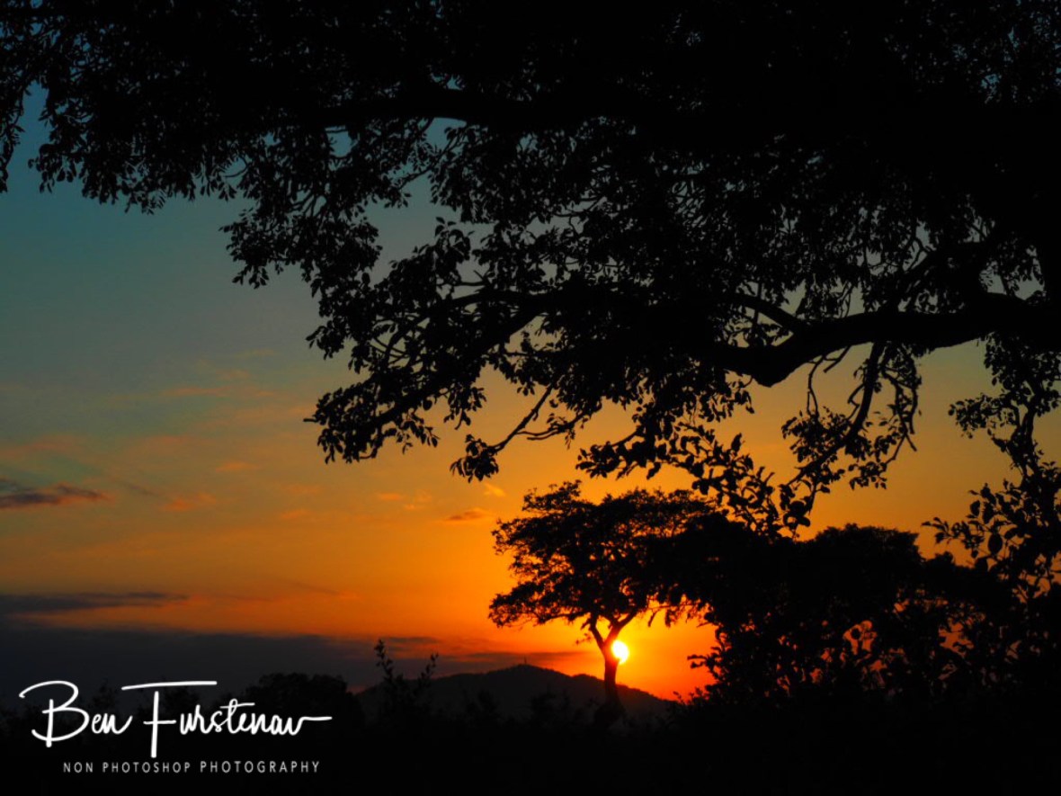 Colourful sunrise behind acacia trees, Kruger National Park 