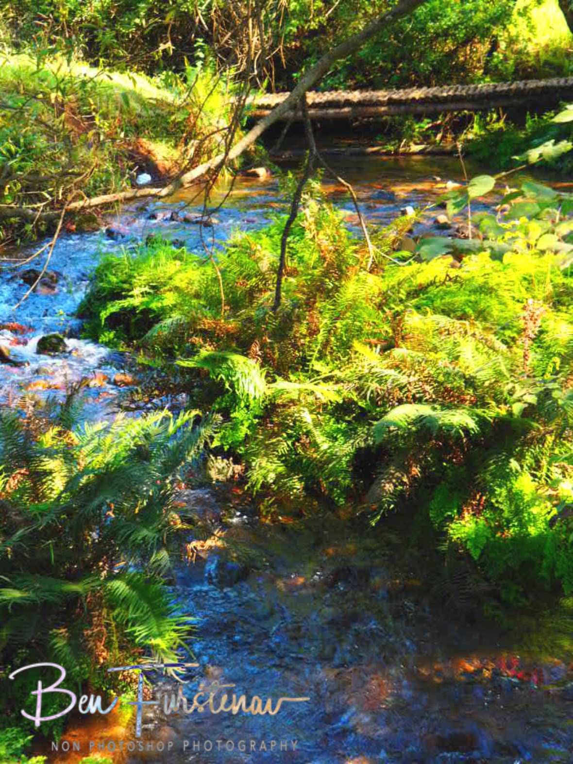 Farm creek, Northern Drakenberg 