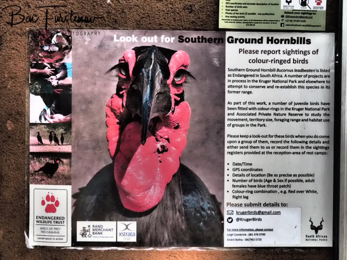 Lord of the rings part 3, Kruger National Park 