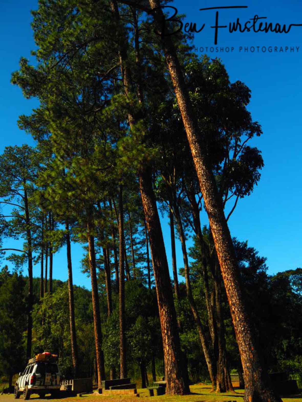 In between giants, Sabie