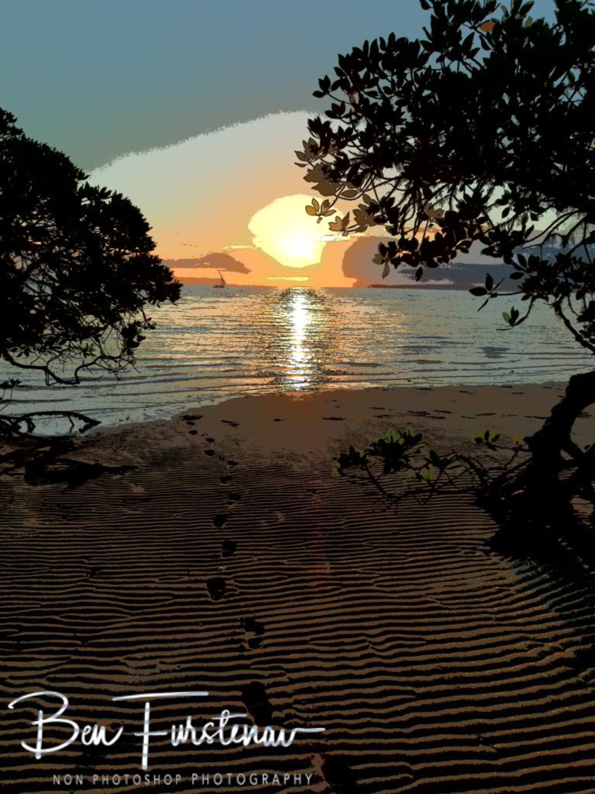 Mangrove sunset, Machangulo Peninsula 