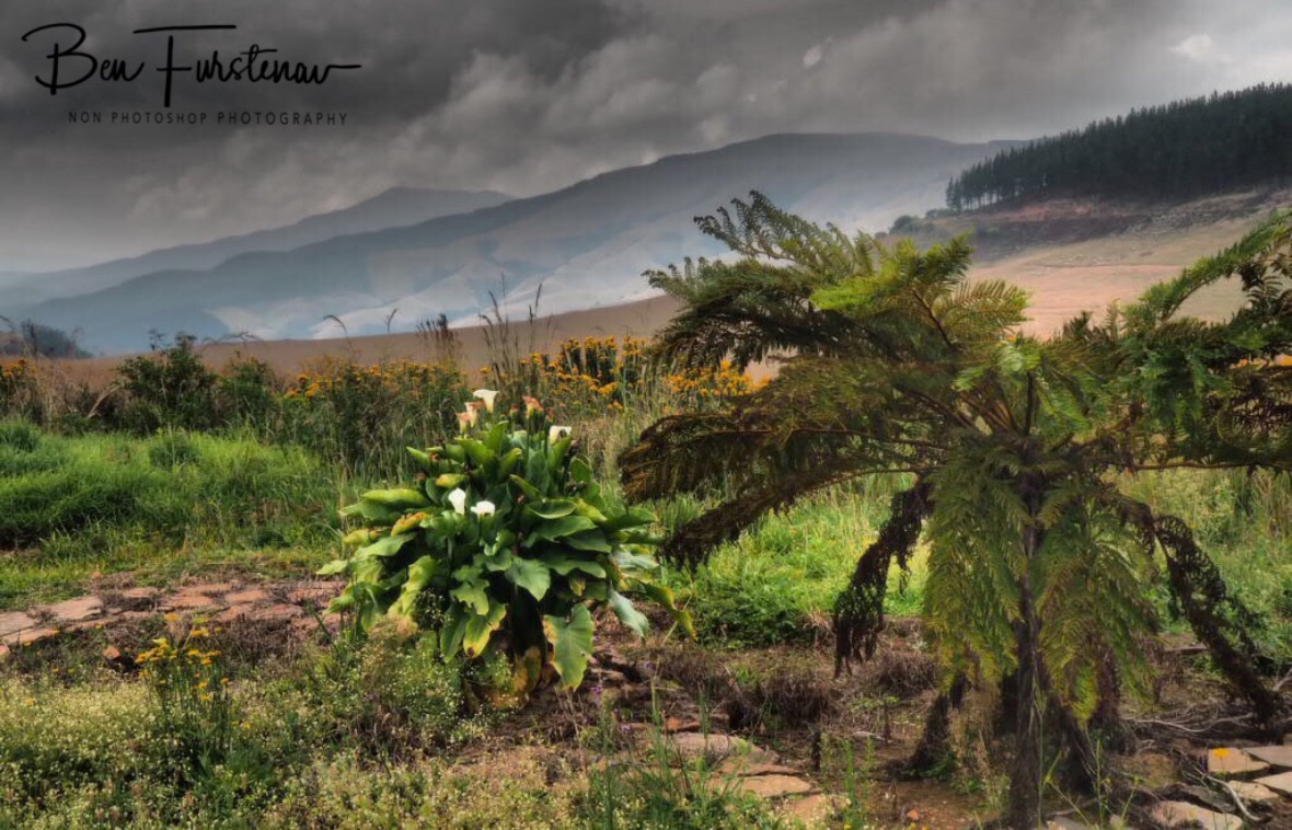 Spectacular view from Harbeesvlatke, Sabie 