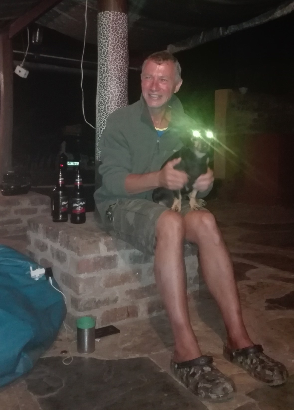 Sausage dog ‘Iggy Pop’ enjoys his high seat, Sabie Backpackers