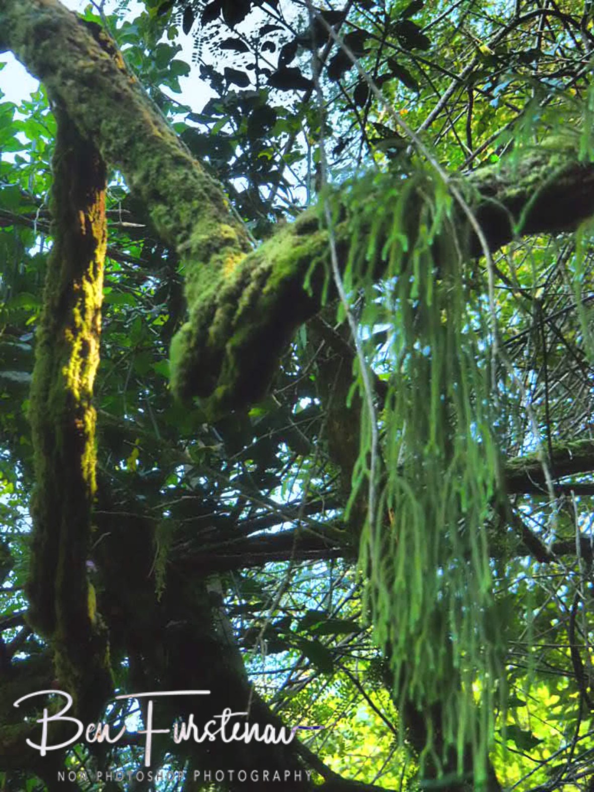 Sun and water, the essentials of life, Sabie