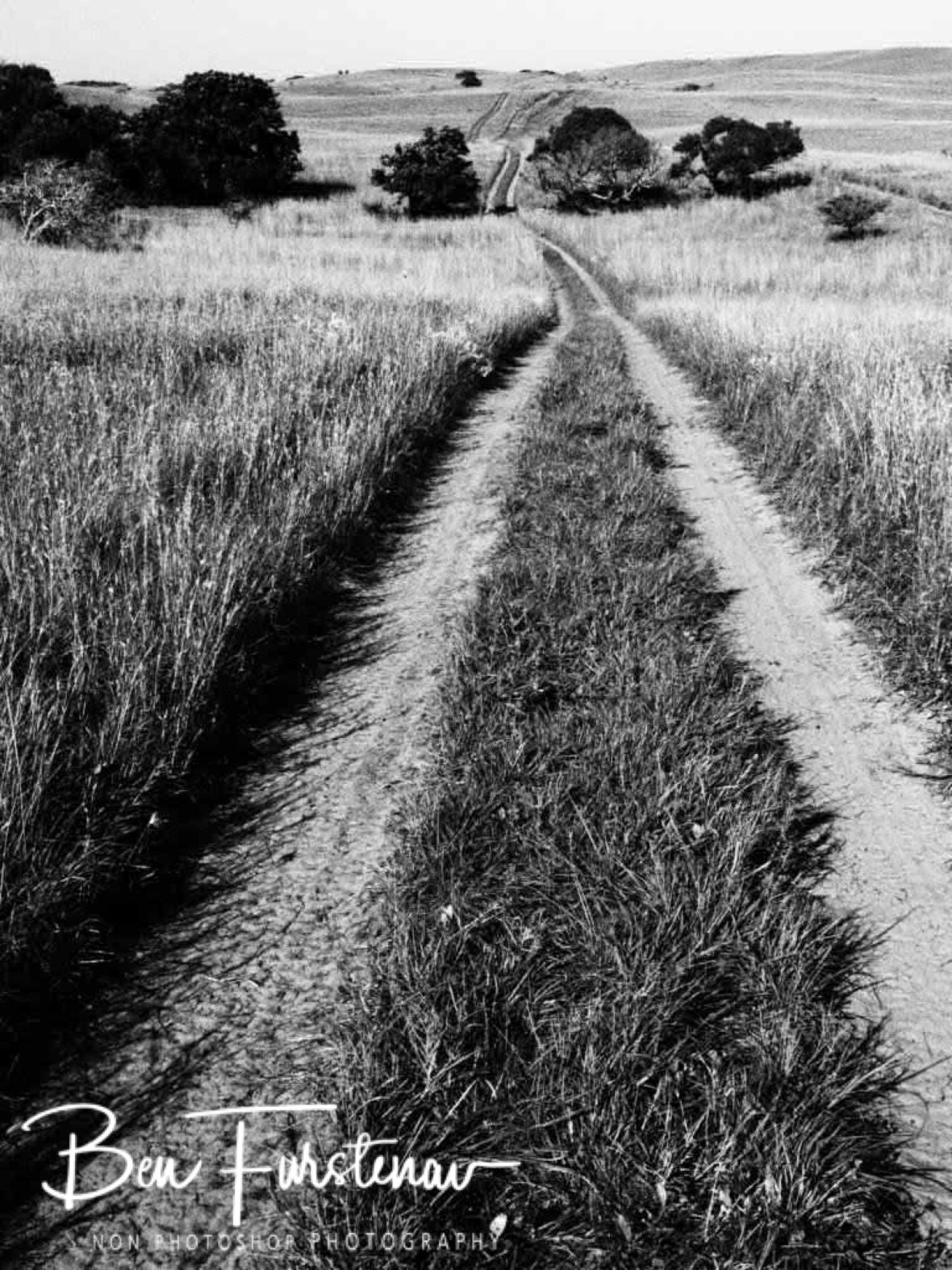 Two wheel sandtracks, Machangulo Peninsula 