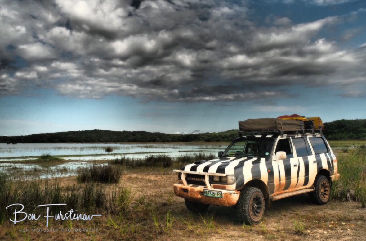 A muddy Zimba along tranquil lakes at Maputo Special Reserve