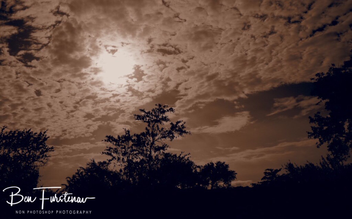 Cloudy sunrise, Kruger National Park 