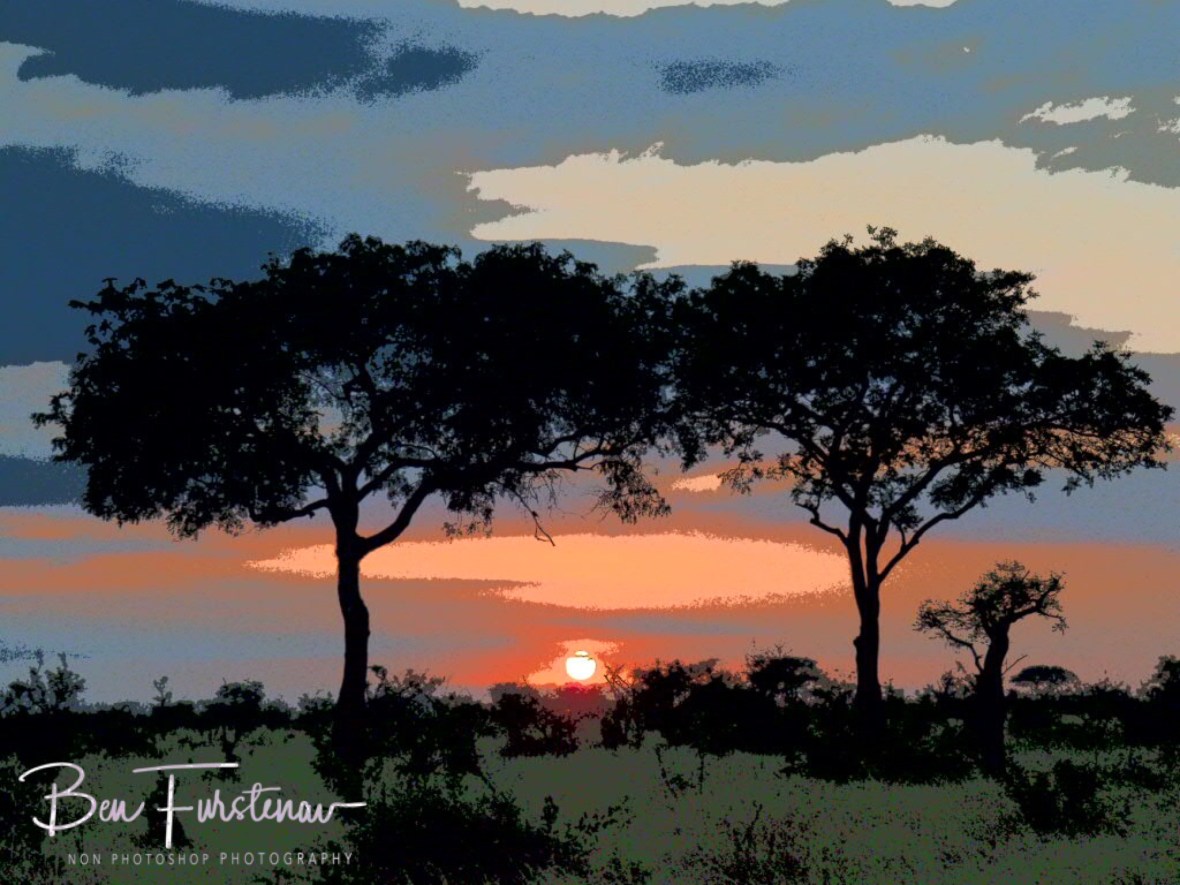 Painted savanna sunrise, Kruger National Park 