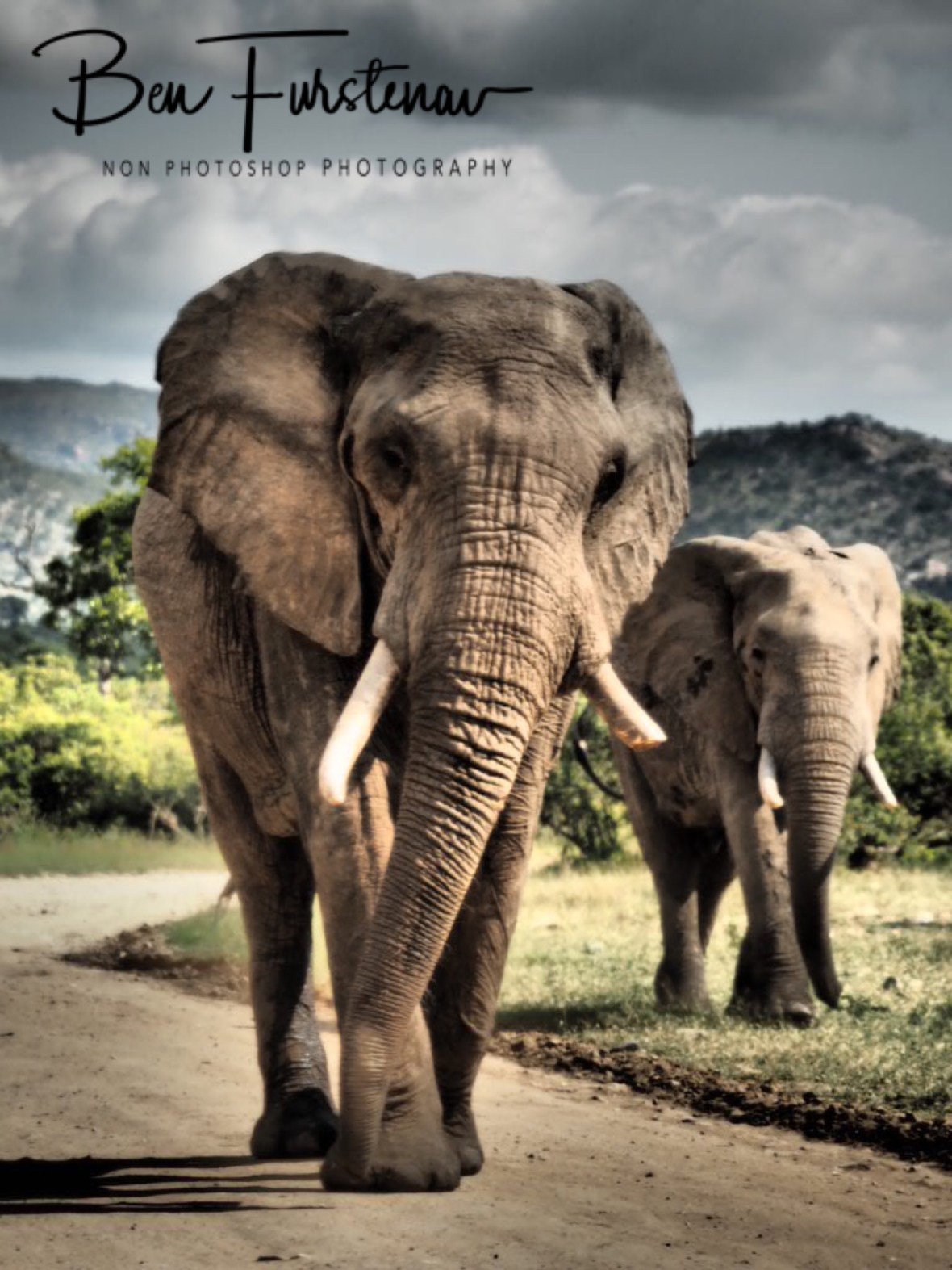 South African road train, Kruger National Park 