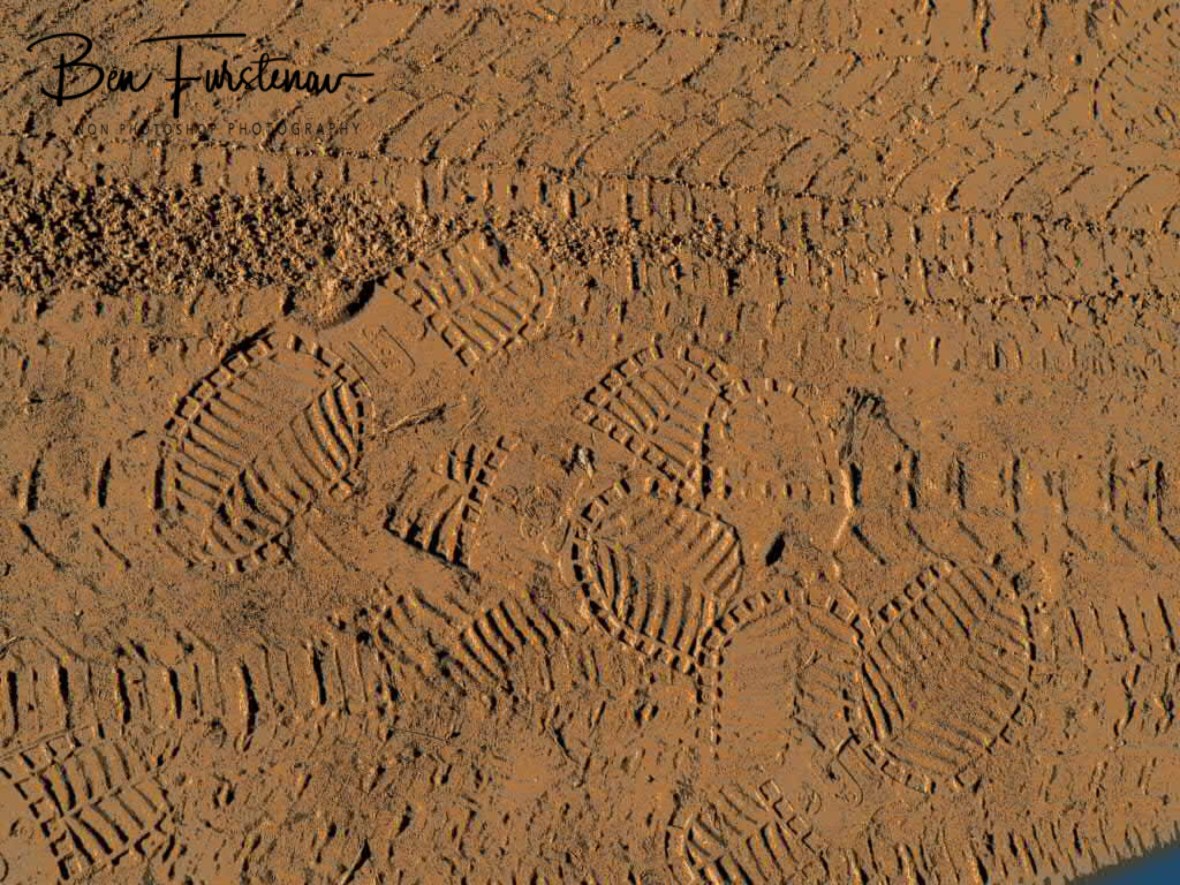 Croc footprints, Kruger National Park 