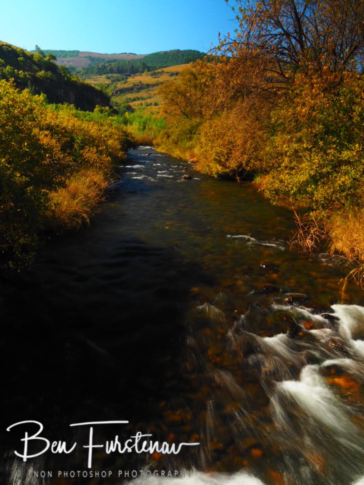 Trout filled clear creeks, Northern Drakenberg 