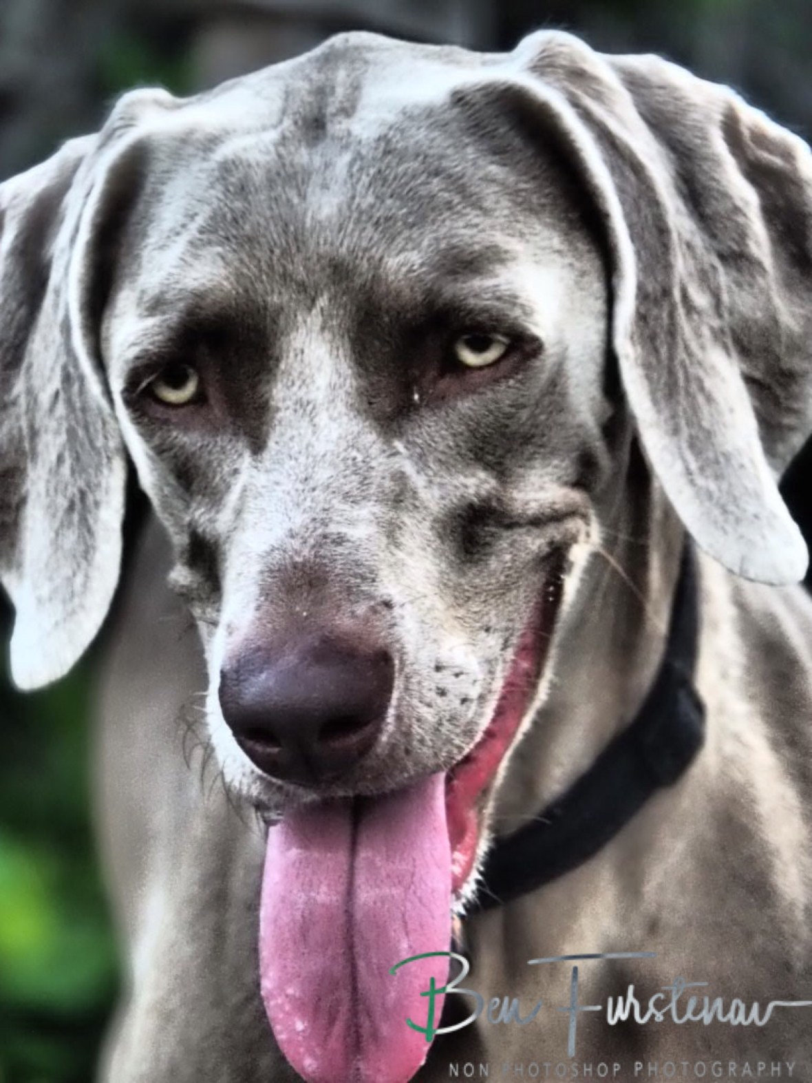 One of Anouk’s expressions, Machangulo Peninsula