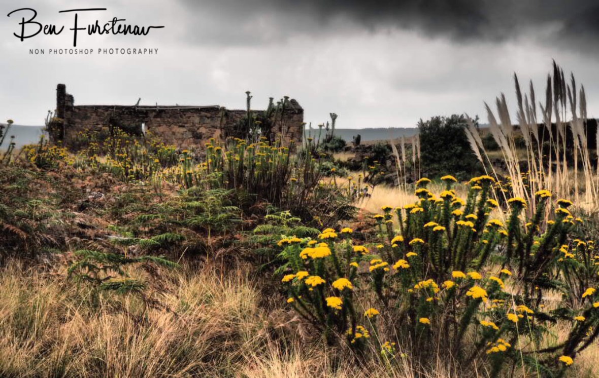 Farmhouse ruins, Sabie 