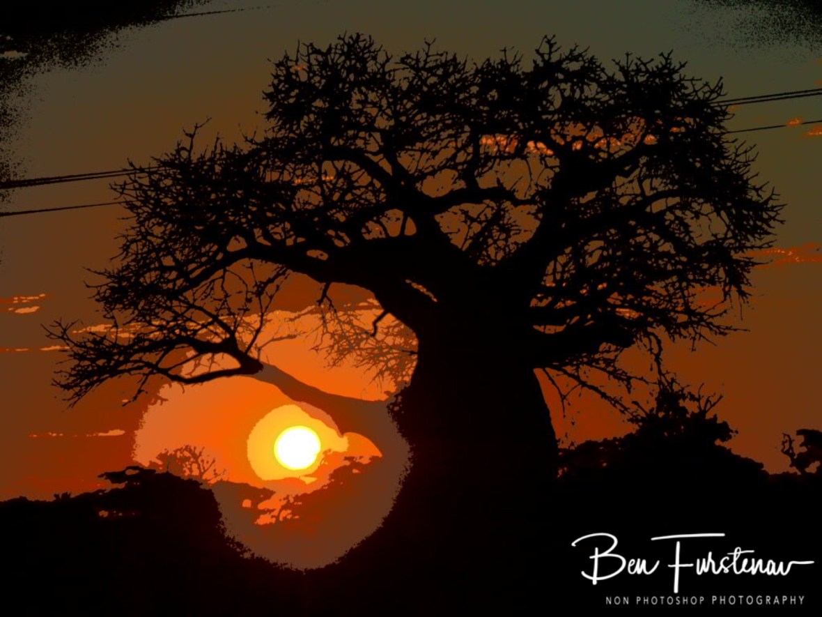 Casting large shadows, Tete, Mozambique 
