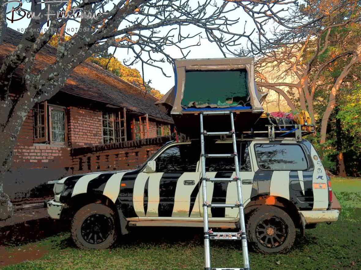 Zimba under and with ‘Frangipane Flowers’, Mulanje Mountains, Malawi 