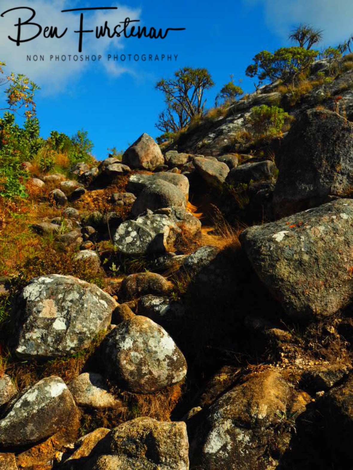 Clear skies brighten all colours and features, Mulanje Mountains, Malawi